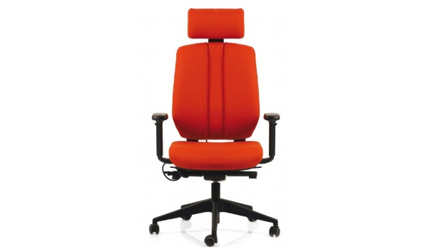 fauteuil_ergonomique_confort_du_dos-e-tech_ergo_1747829267